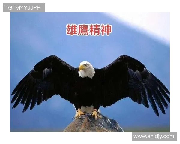 突破极限迎接挑战，超越自我塑造未来的勇气与智慧