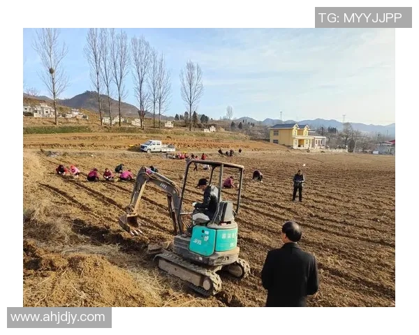 果园里的四季变迁与农业可持续发展的探索与实践