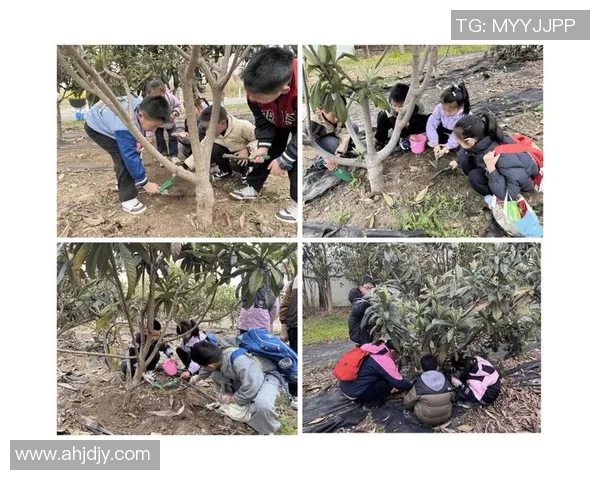 果园生态循环与可持续发展研究：从种植到管理的综合实践与创新探索