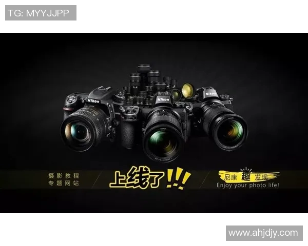 重磅专题探讨WE品牌如何引领包夹设计革新与市场趋势分析