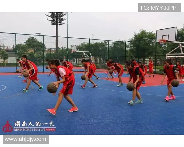 刘静专访：篮球人生的起伏与坚持的背后故事