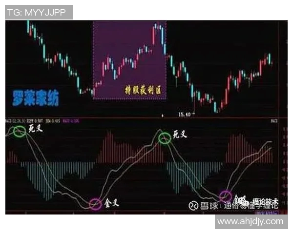 上海网球队包夹战术创新探索与实战应用全景分析